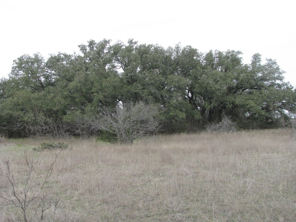 Picture 13