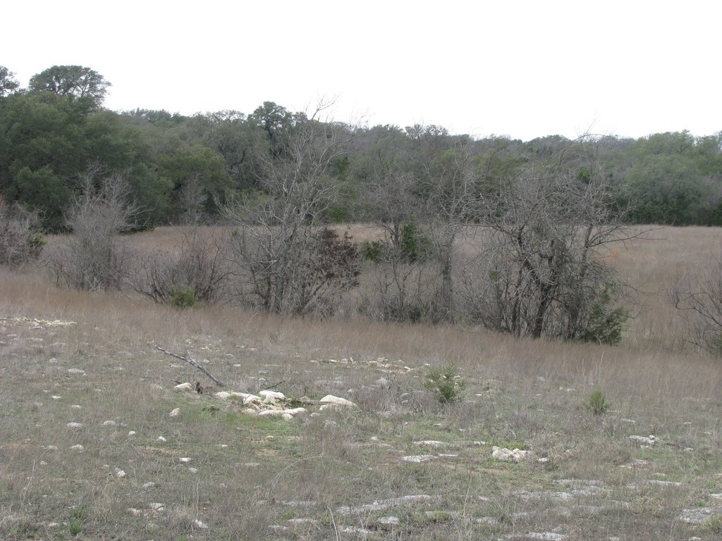 Picture 21