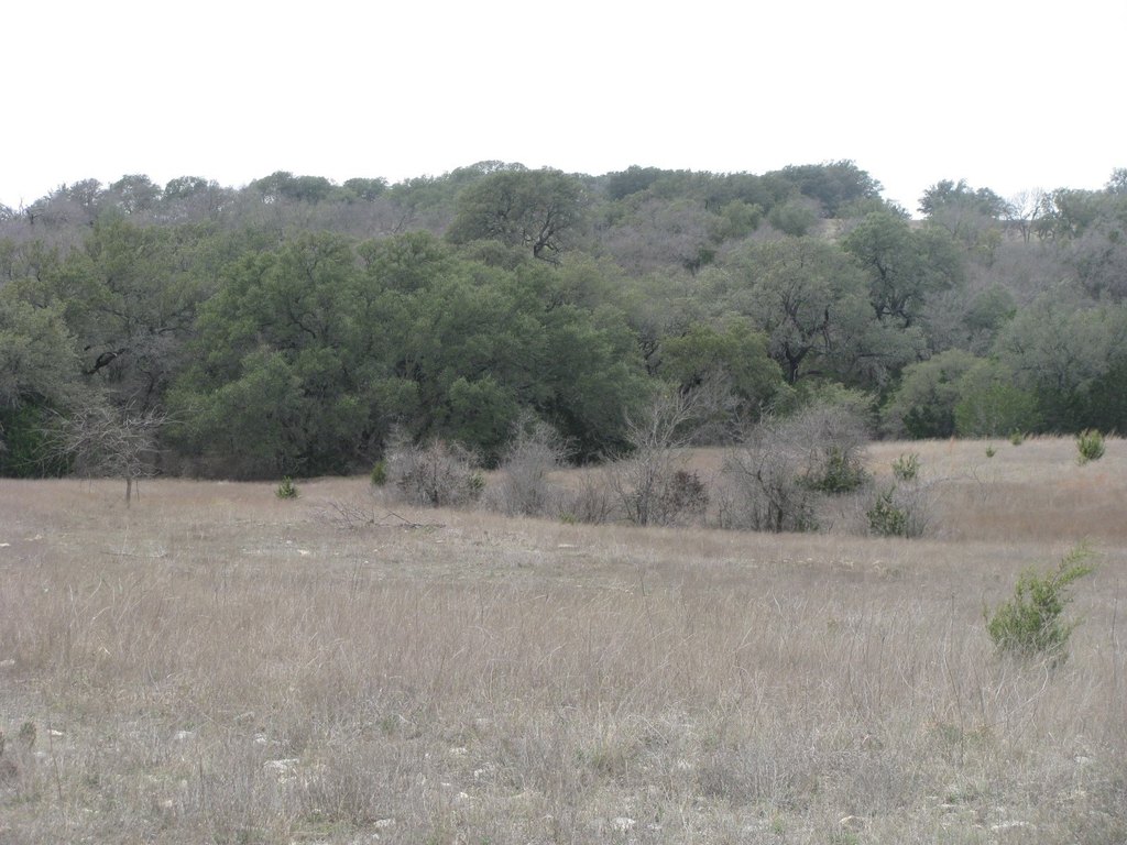 Picture 18