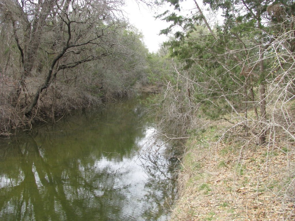Picture 2