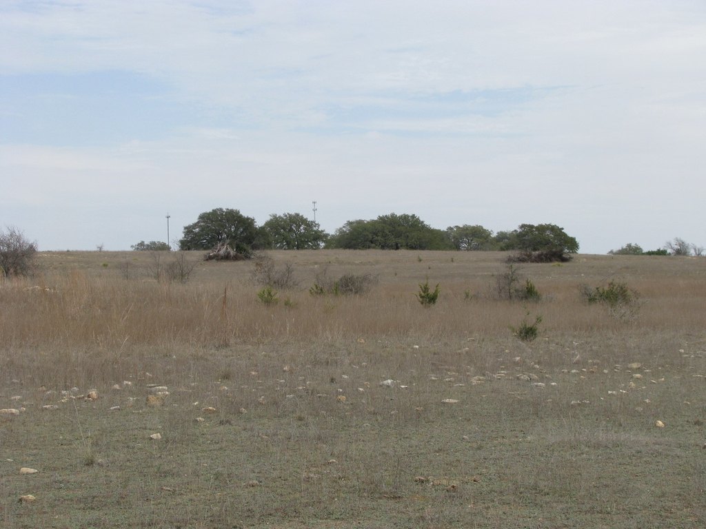 Picture 20