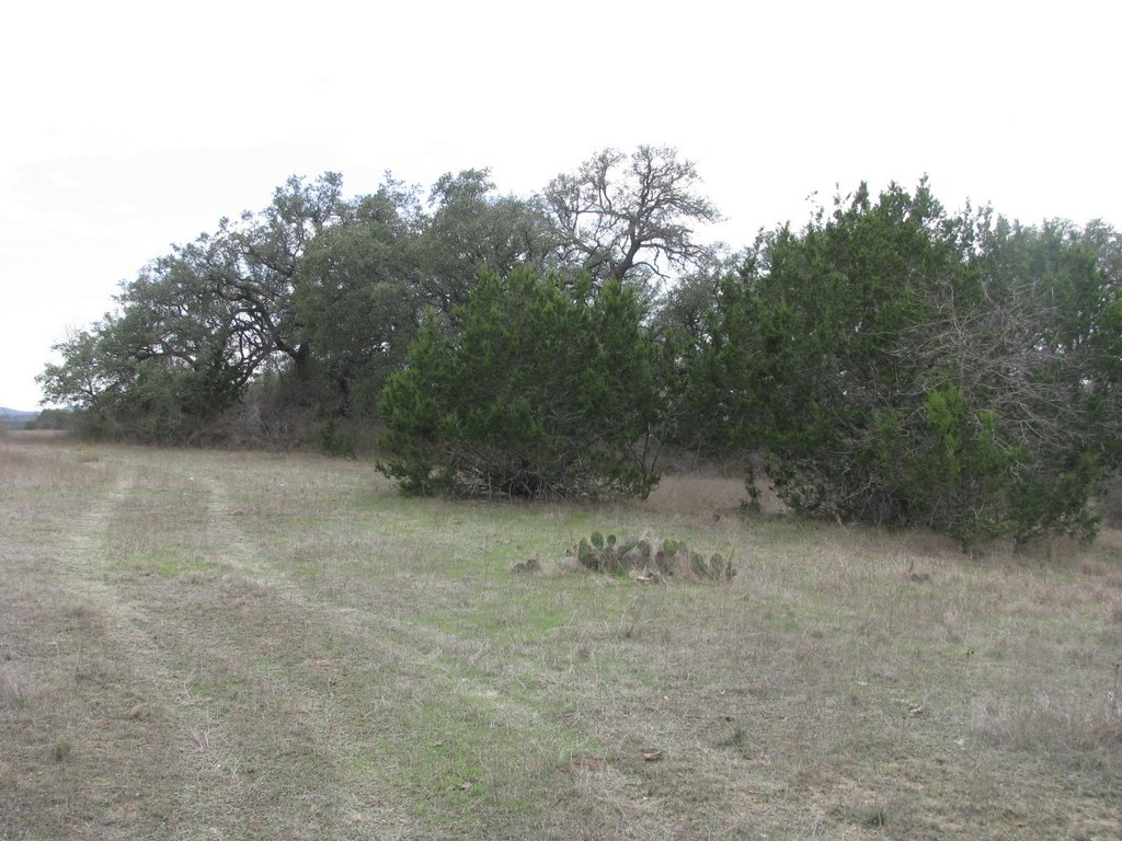 Picture 16