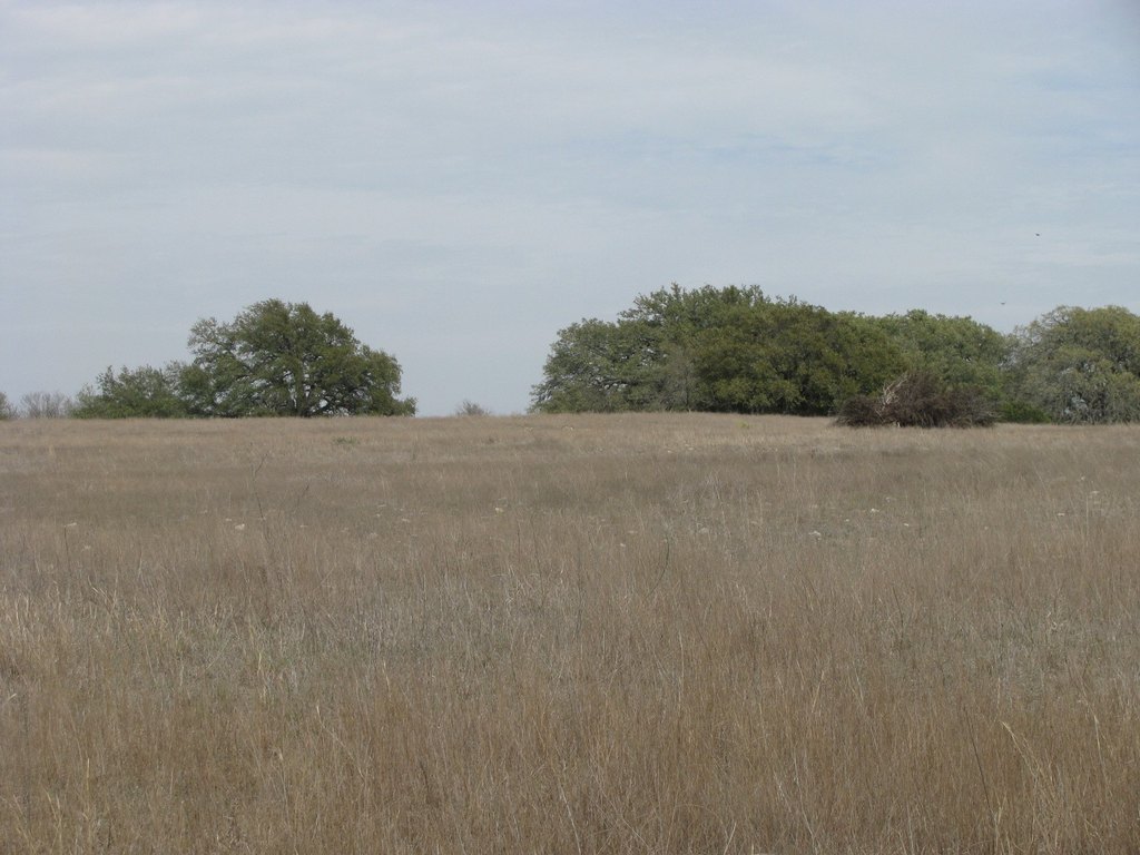 Picture 23