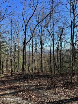 Mountain View Land in Tallassee
