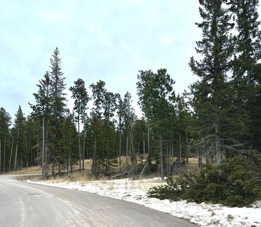 Picture 6