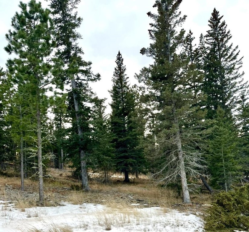 Picture 5