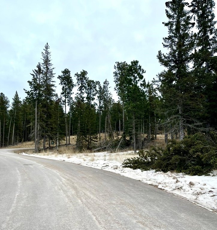 Picture 17