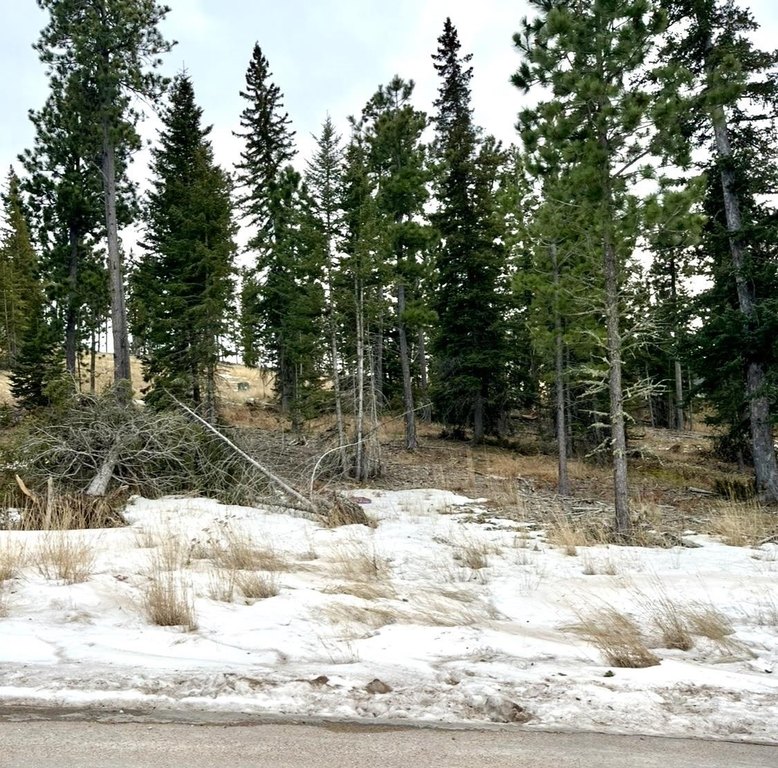 Picture 8