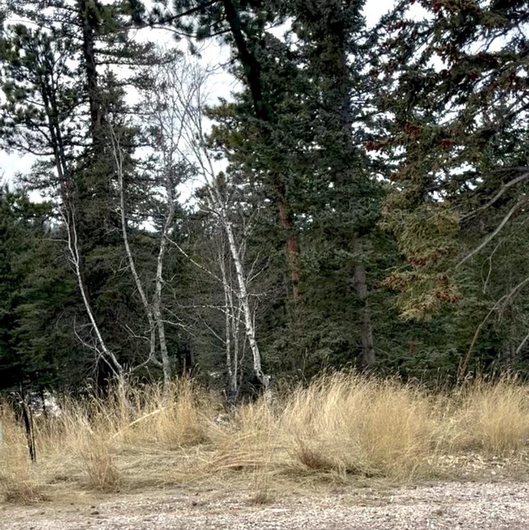 Picture 18