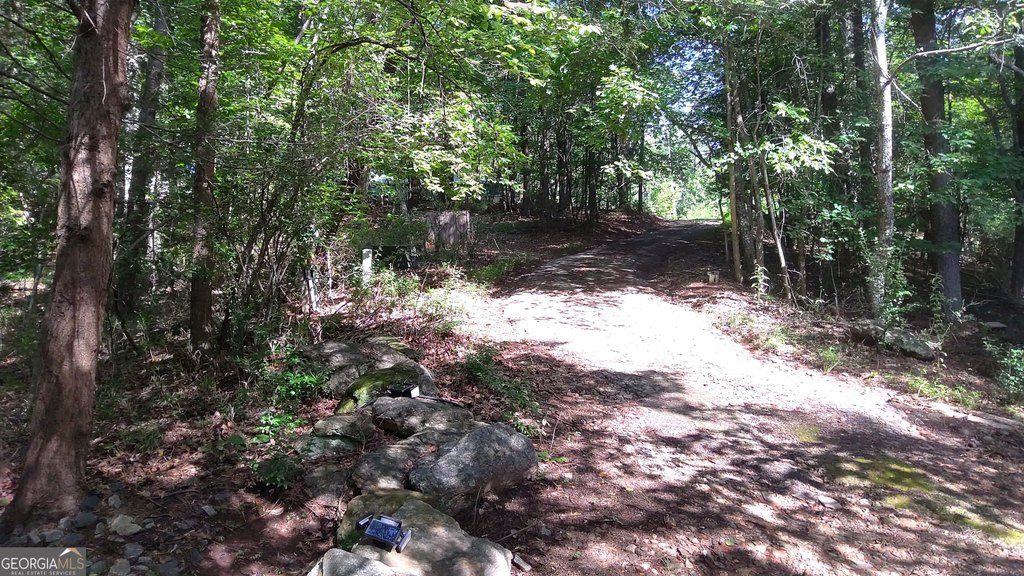 Picture 2
