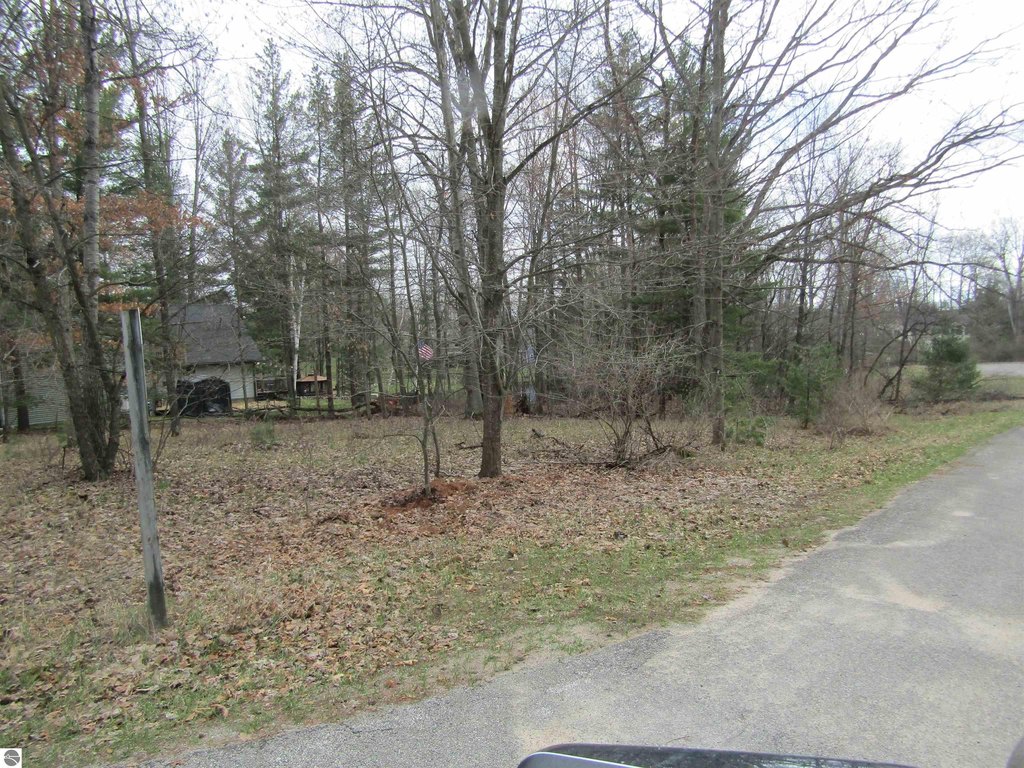 Picture 13
