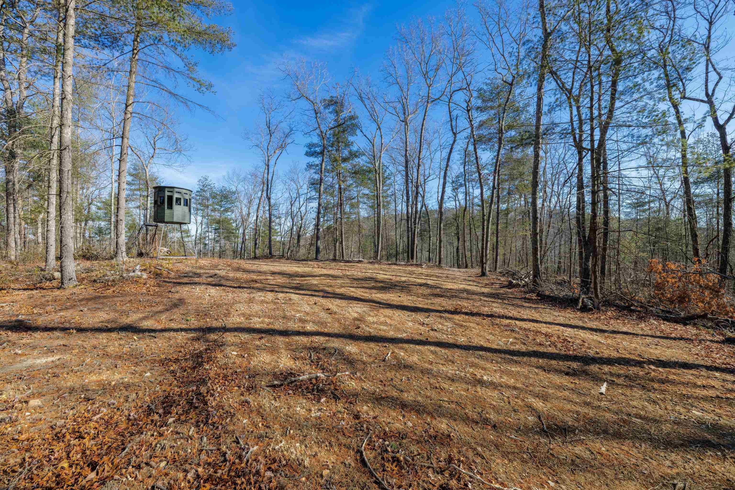 25 Acres in Mount Solon