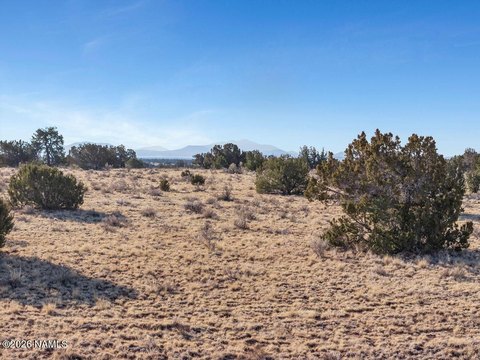 Land, Williams, AZ