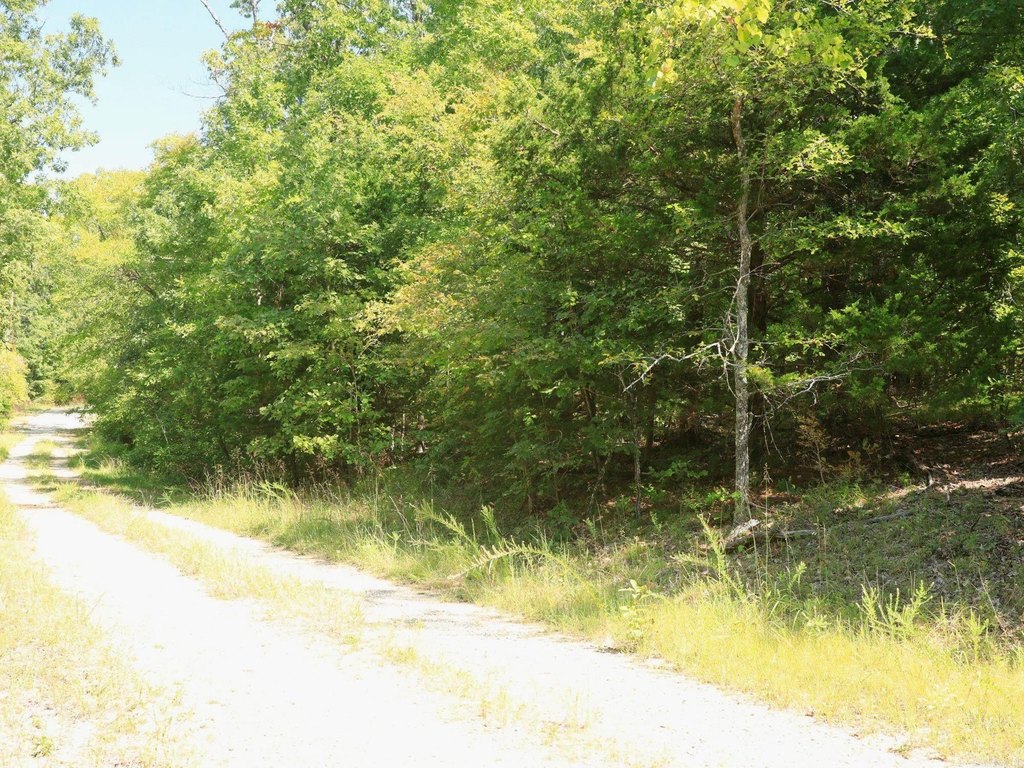 Picture 4