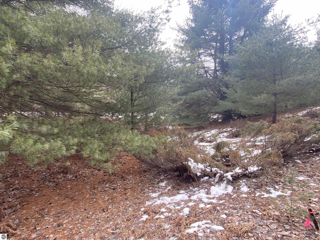 Picture 9