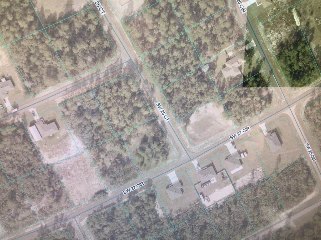 Picture 3