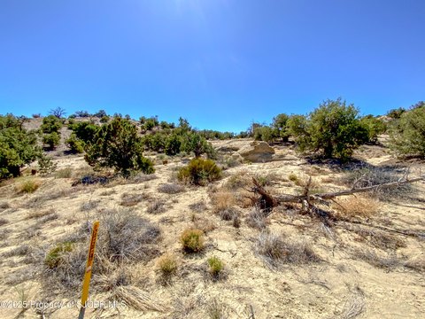 Residential Land in Farmington, NM