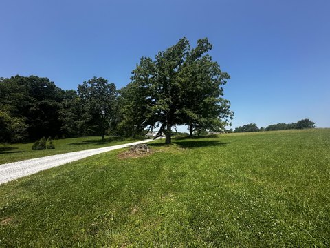 Residential Land in Corbin, KY