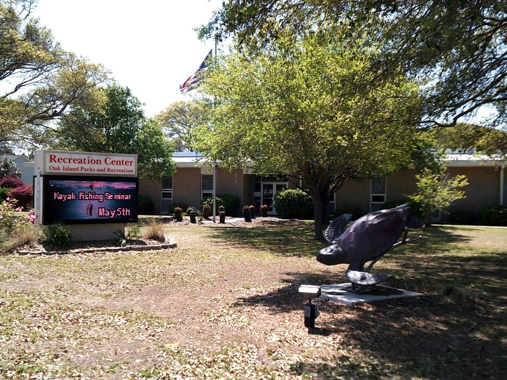 Picture 11