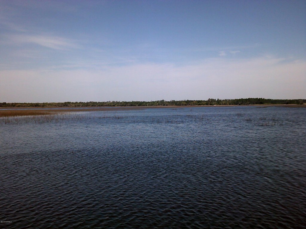 Picture 7