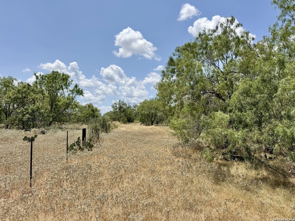 Picture 10