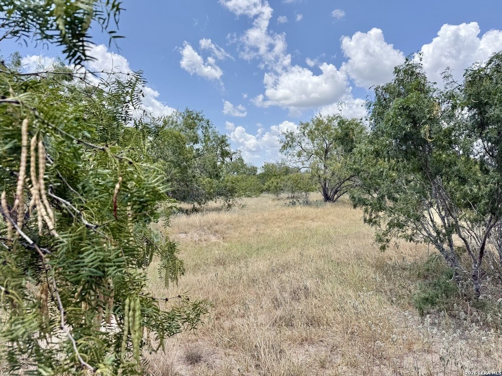 Picture 11