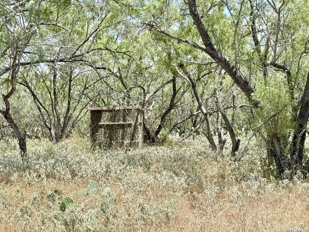 Picture 12