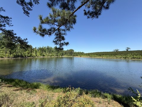 Recreational Hunting Land with Lake