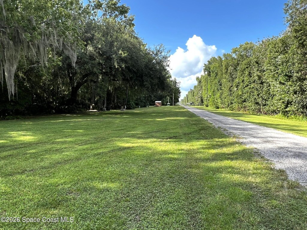 Picture 25