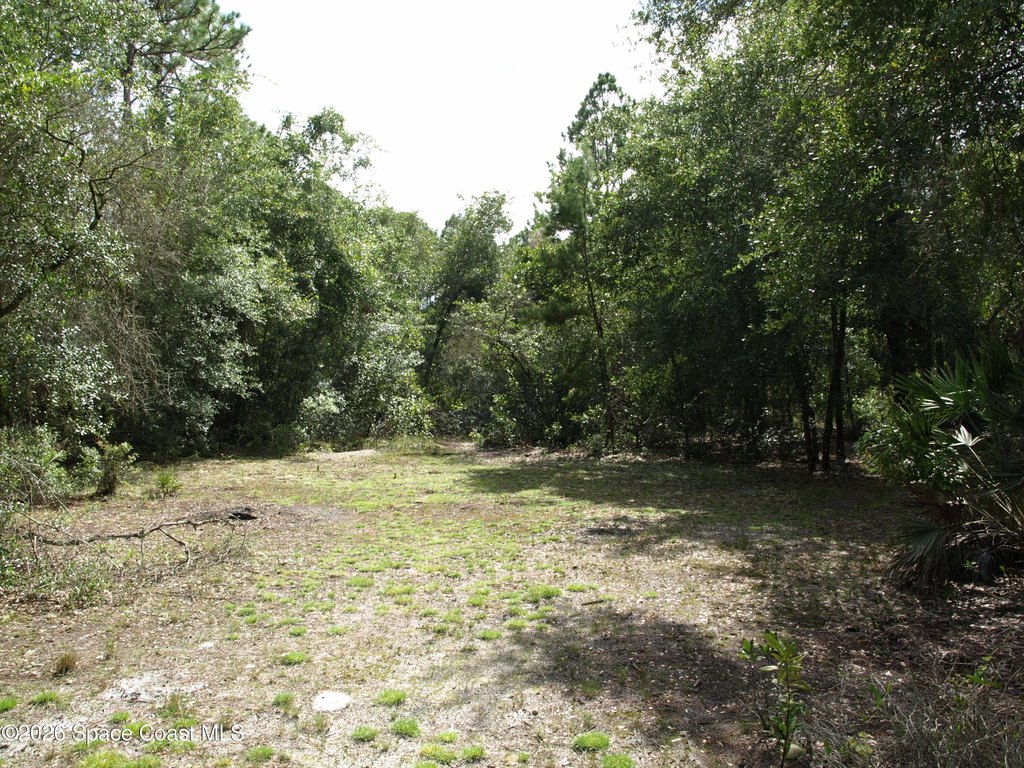 Picture 5