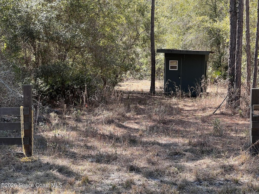 Picture 6