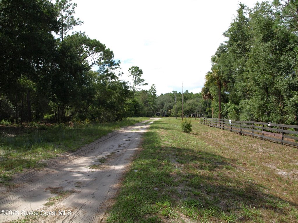 Picture 11