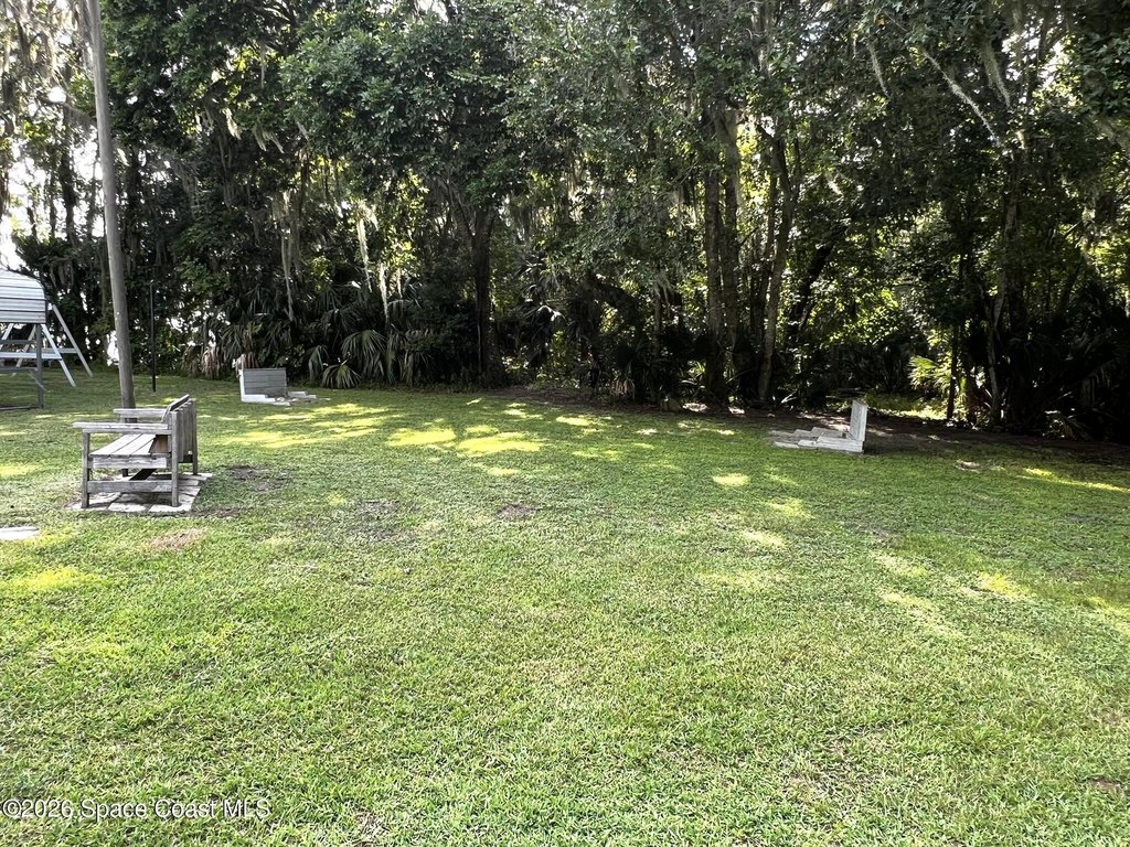 Picture 24