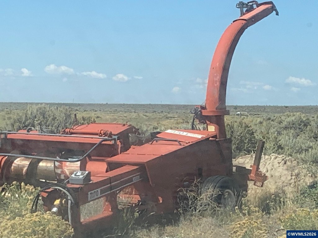Picture 25