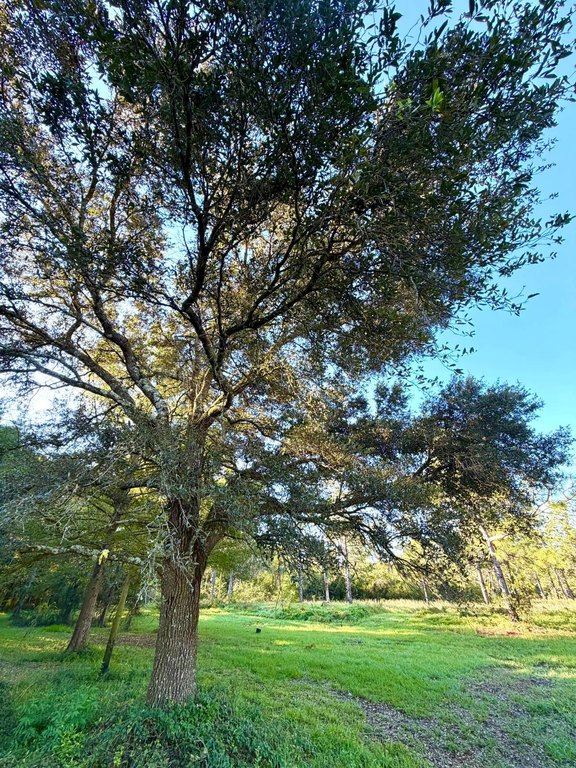 Picture 32