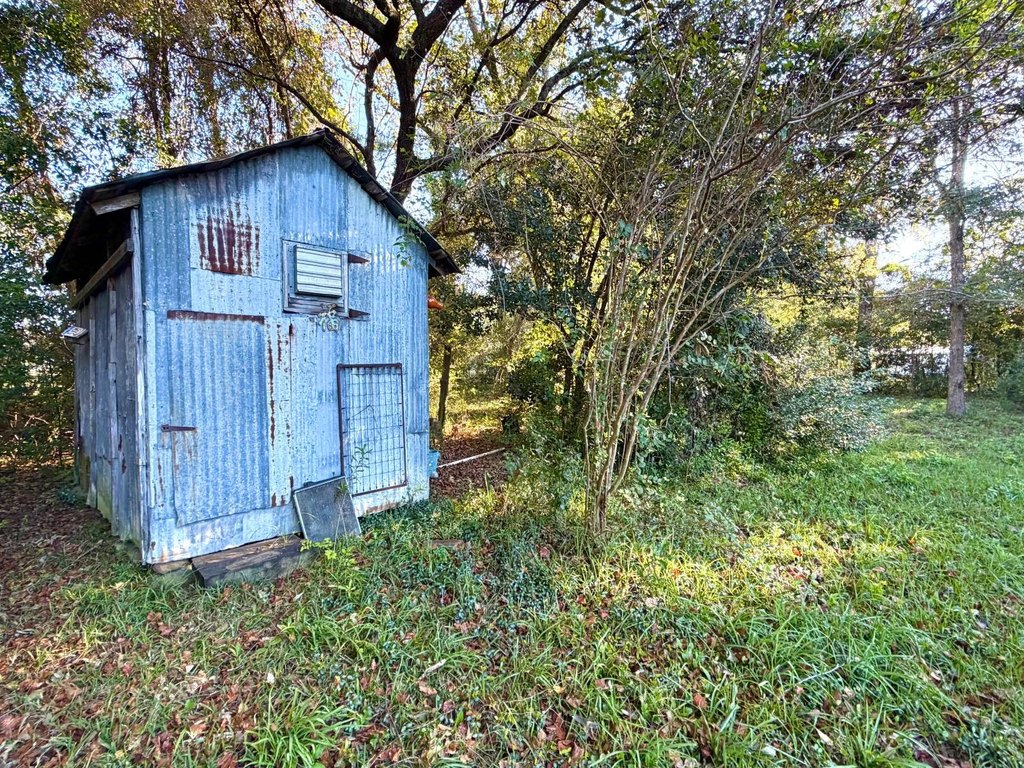 Picture 27