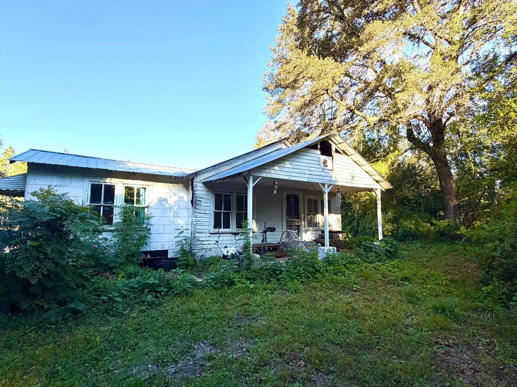 Picture 33