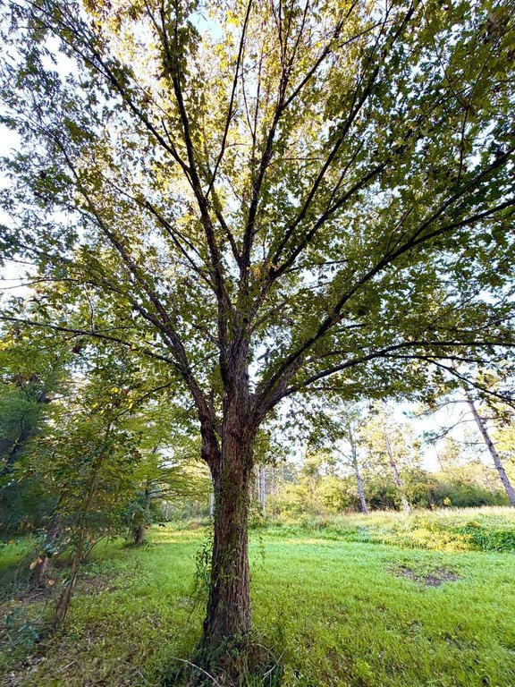 Picture 28