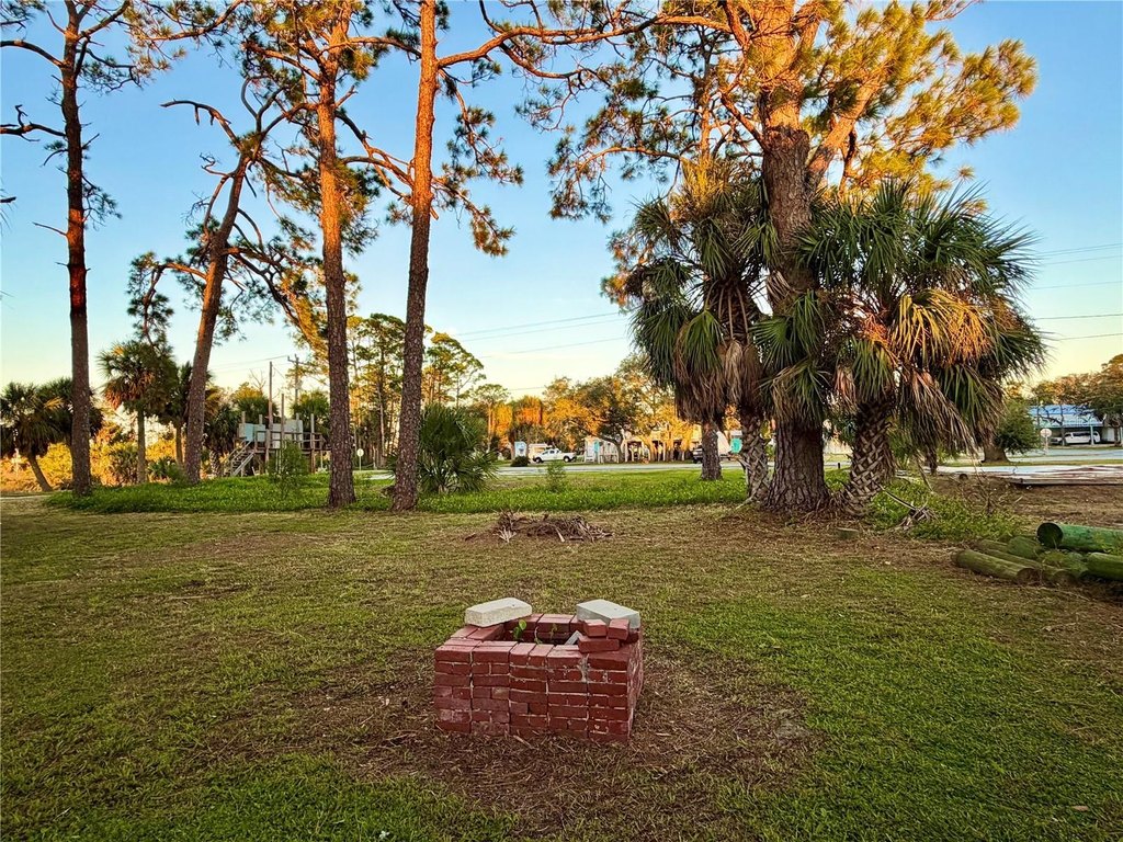 Picture 19
