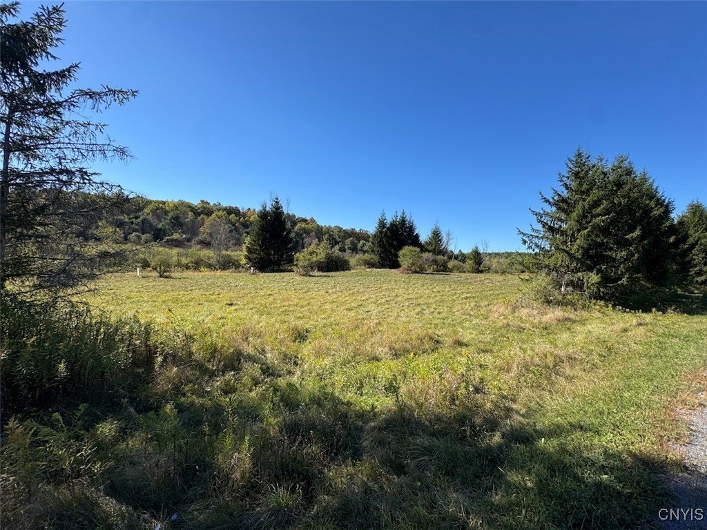 8.96 Acres in Finger Lakes