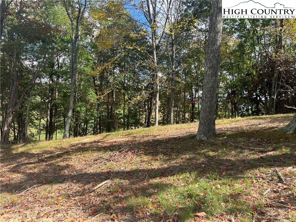 Residential Lot in Sparta, NC