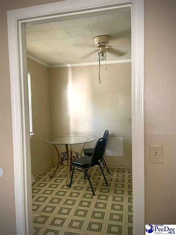 Picture 29