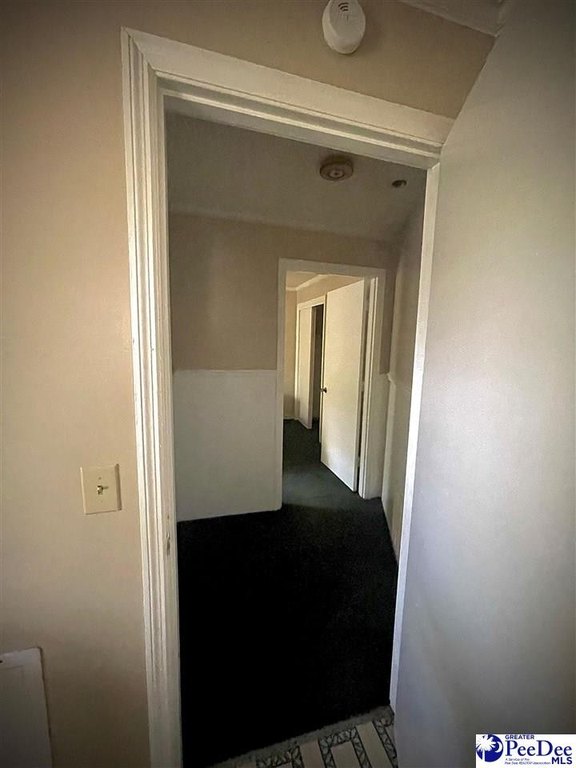 Picture 31