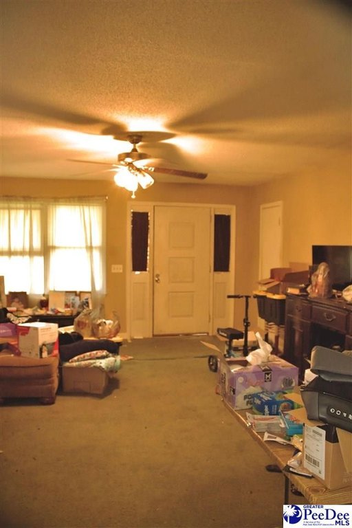 Picture 14