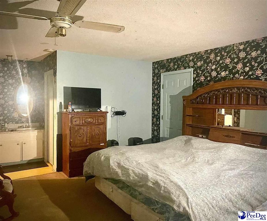 Picture 41