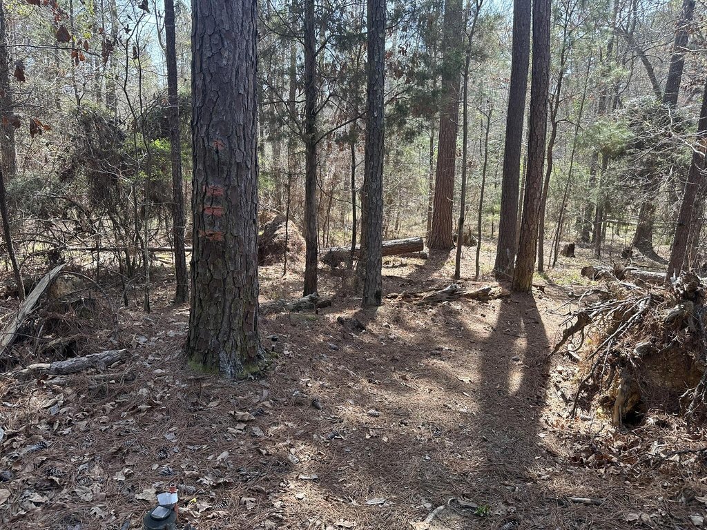 Picture 14