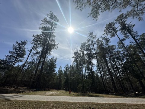 Land, Lincolnton, GA
