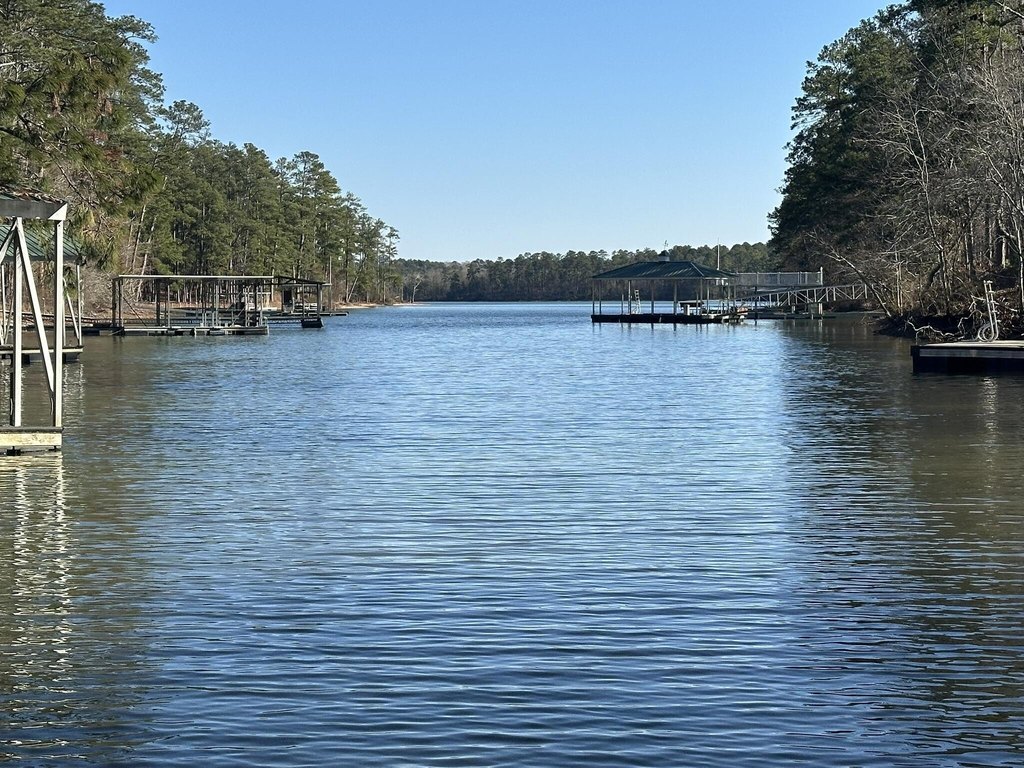 Picture 21