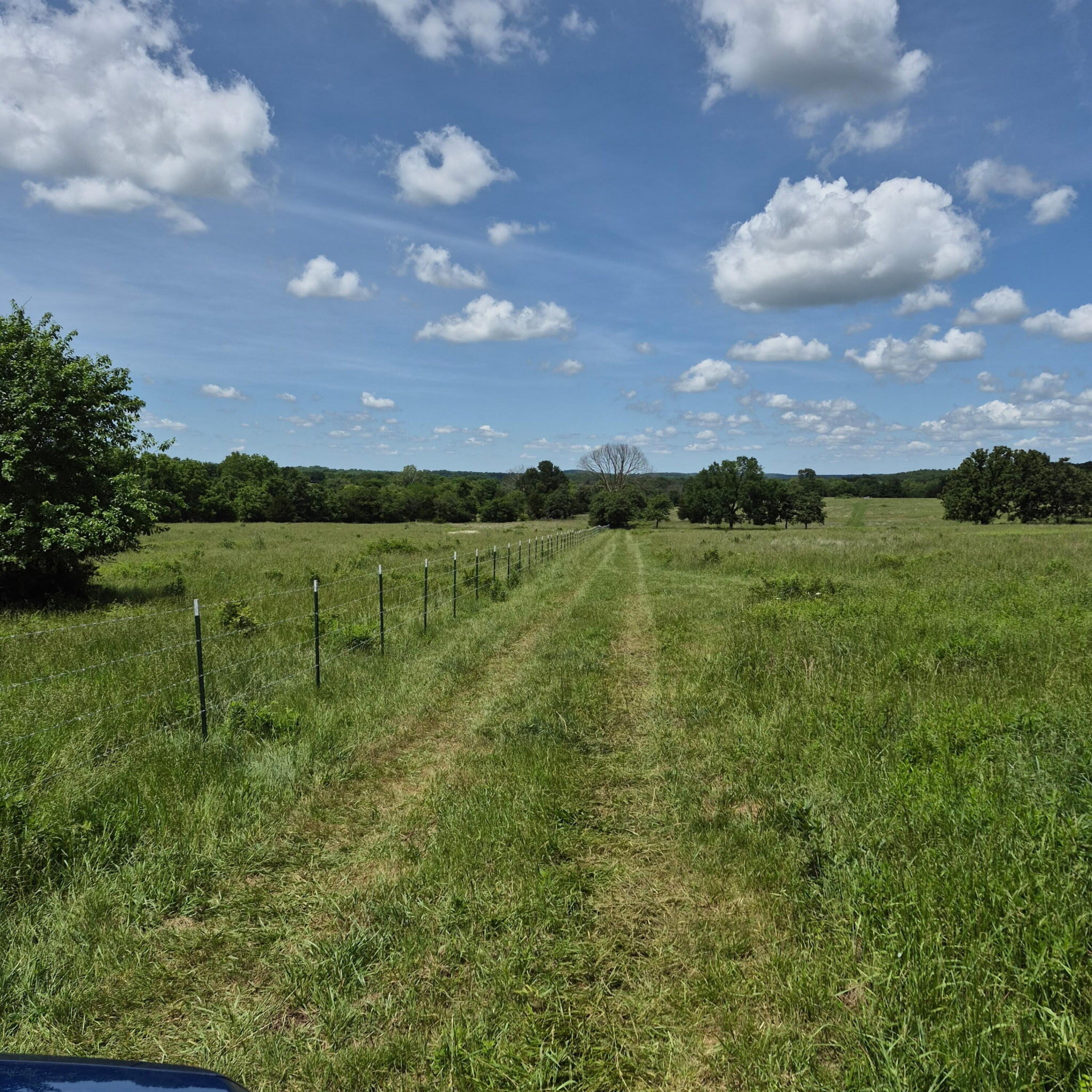 Greenfield Land Near Highway 160