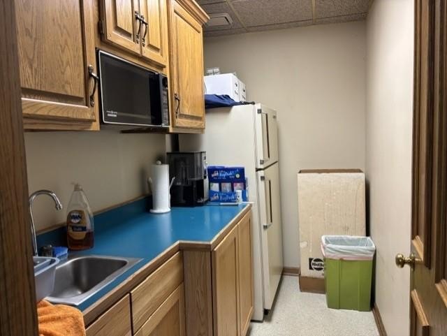 Picture 19